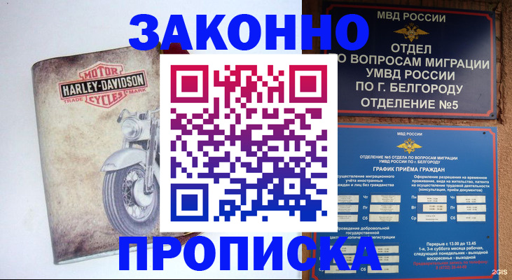 прописка для школы в Канске